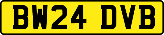 BW24DVB
