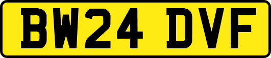 BW24DVF
