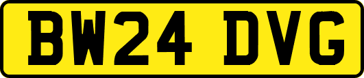 BW24DVG