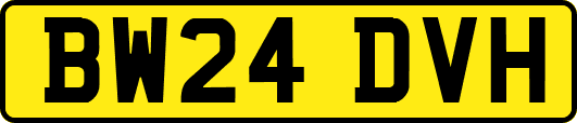 BW24DVH