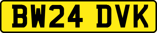 BW24DVK