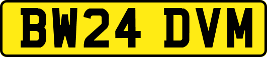 BW24DVM