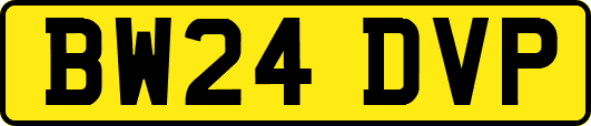BW24DVP