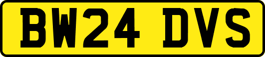 BW24DVS