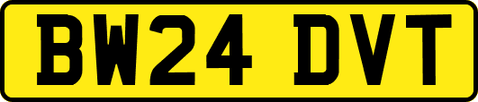 BW24DVT