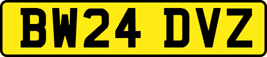 BW24DVZ
