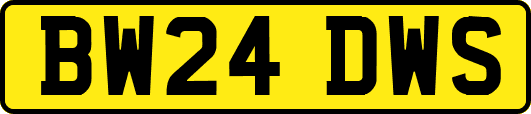 BW24DWS