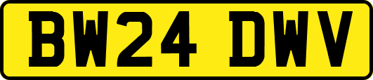 BW24DWV