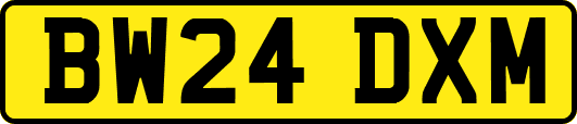 BW24DXM