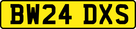 BW24DXS