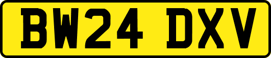 BW24DXV