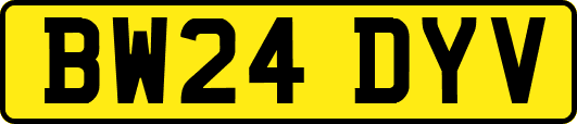 BW24DYV