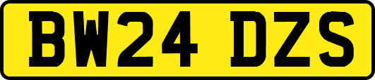 BW24DZS