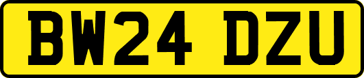 BW24DZU