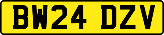 BW24DZV