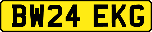 BW24EKG