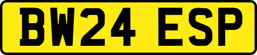 BW24ESP