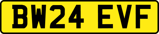 BW24EVF