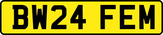 BW24FEM