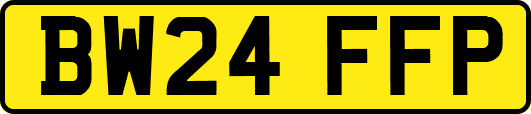 BW24FFP