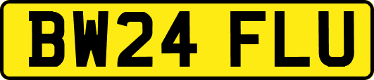 BW24FLU