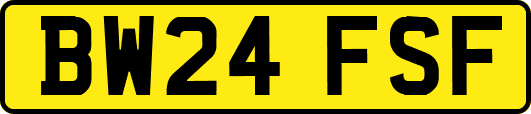 BW24FSF