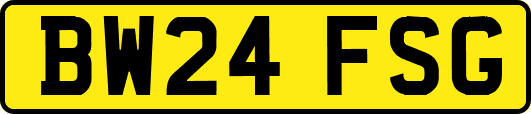 BW24FSG