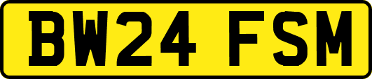 BW24FSM