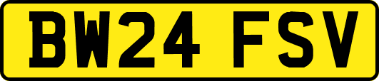 BW24FSV