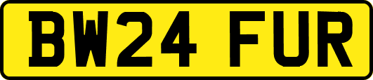 BW24FUR