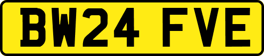 BW24FVE