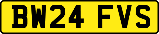 BW24FVS