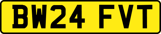 BW24FVT