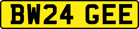 BW24GEE