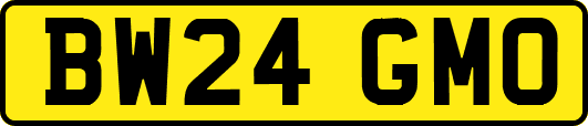 BW24GMO