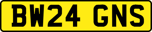 BW24GNS