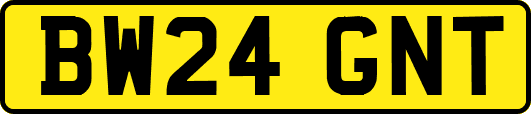 BW24GNT
