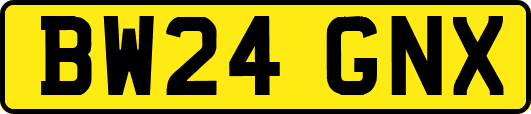 BW24GNX