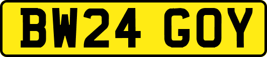 BW24GOY