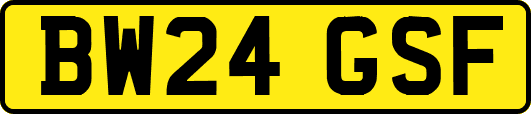 BW24GSF