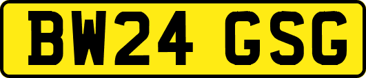BW24GSG