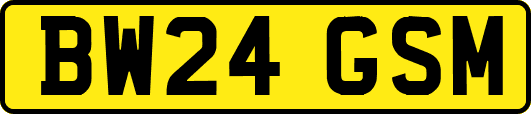 BW24GSM