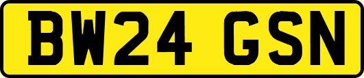 BW24GSN