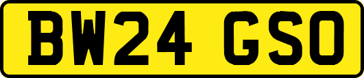 BW24GSO