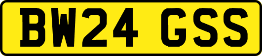 BW24GSS