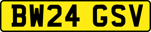 BW24GSV