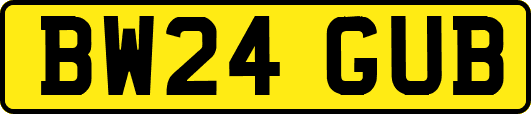 BW24GUB