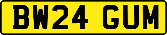 BW24GUM