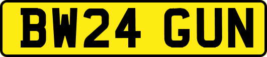 BW24GUN