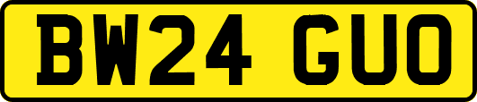 BW24GUO